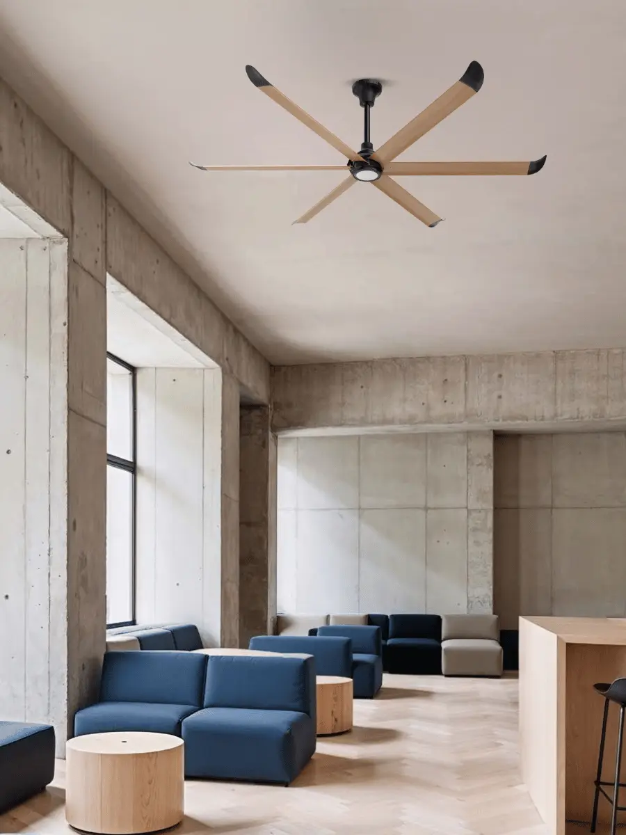 Phòng gym, studio, sảnh đón tiếp