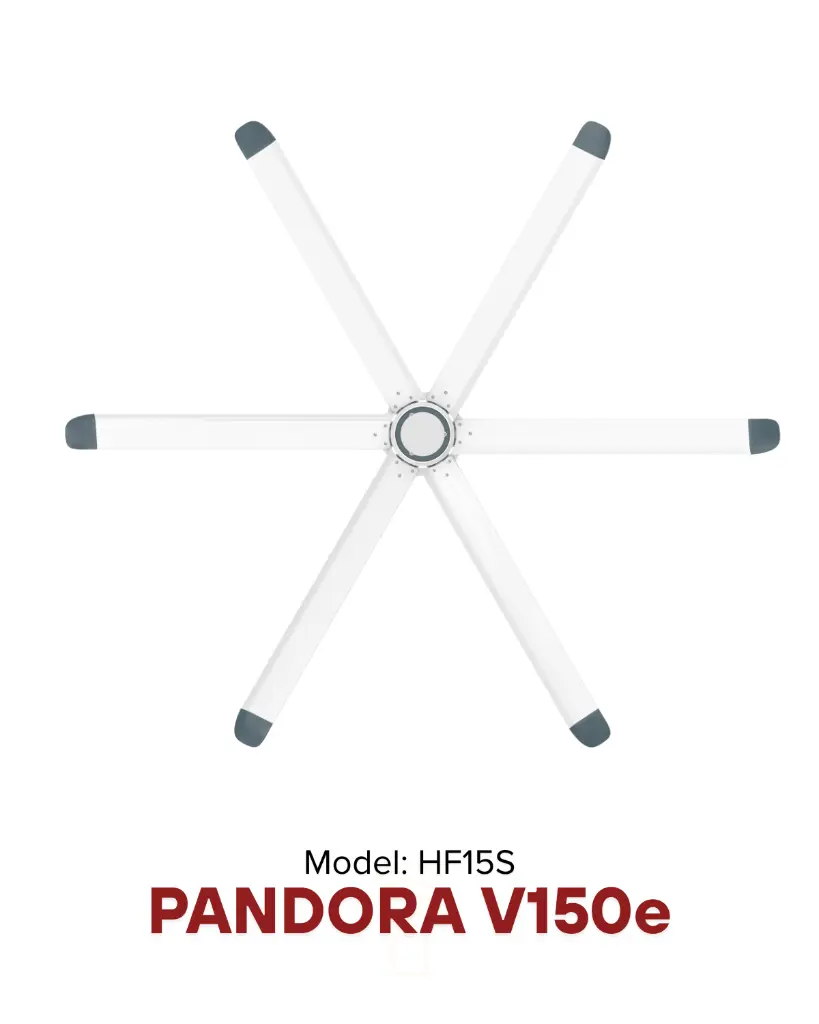 pandora_white_2.webp
