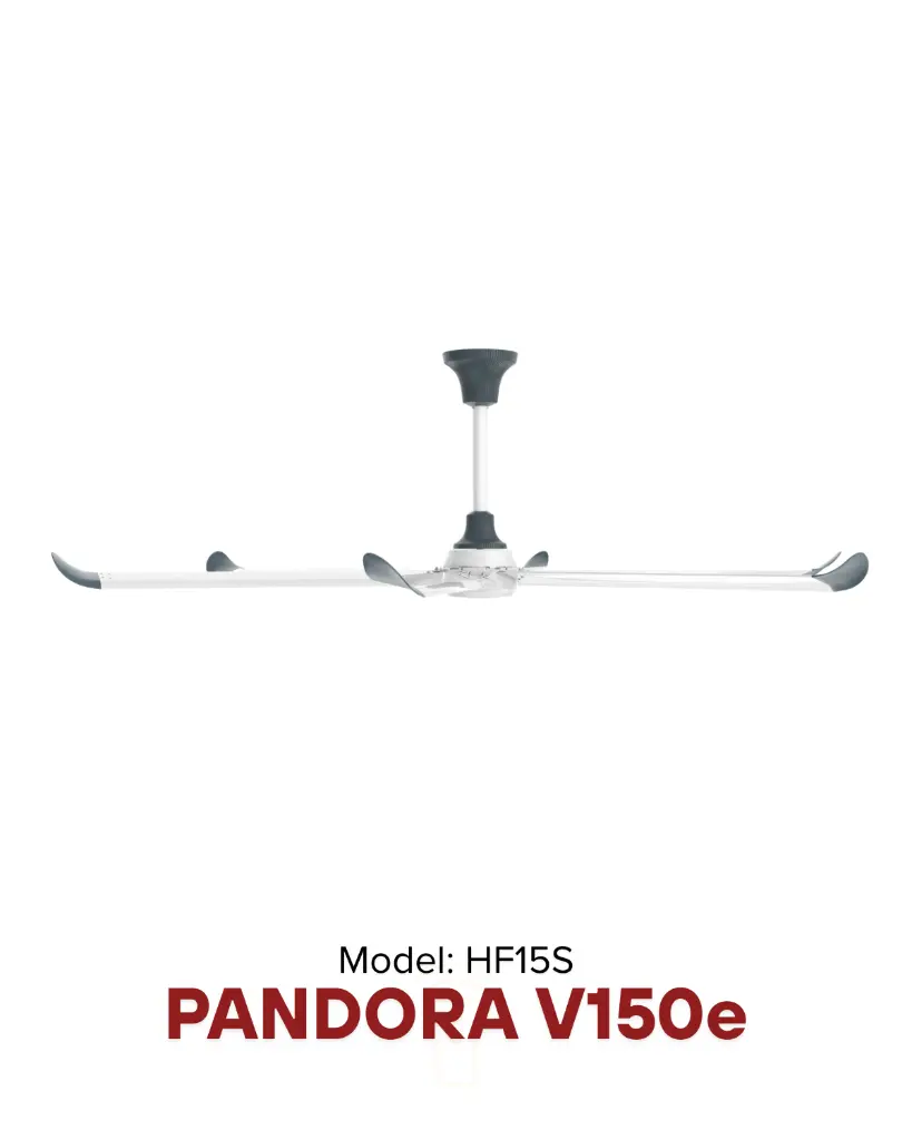 pandora_white_1.webp