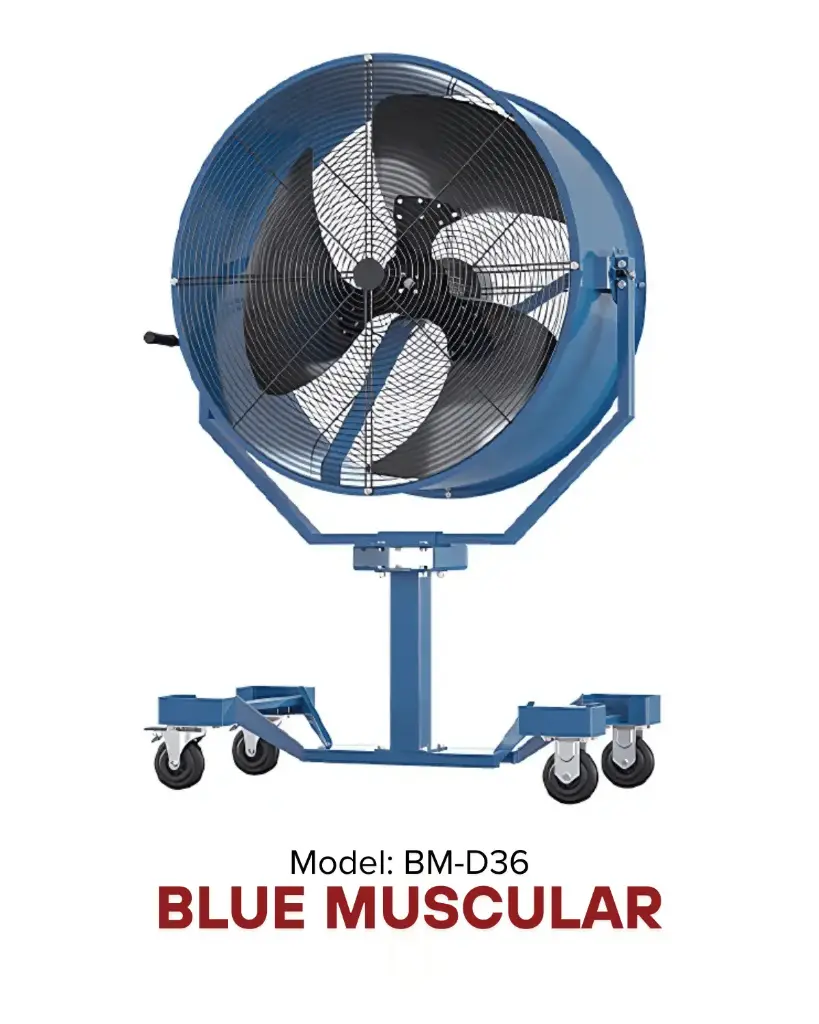 Quạt thổi 36" BLUE MUSCULAR |